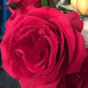 Meet your Posher, Madeline